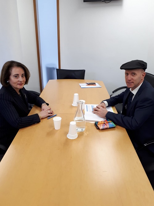 Meeting of the Greek Ambassador, H.E. Mrs. Simopoulou, with the Chairman of the Joint Committee on European Union Affairs, Mr Michael Healy-Rae